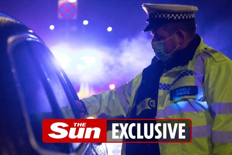 Killer drivers drunk or high on drugs could face life in jail under tough proposed laws