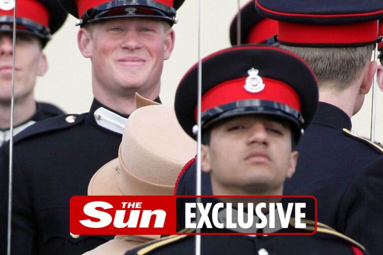 Prince Harry slammed by Army officer’s family for accusing Royals of racism after using vile slur