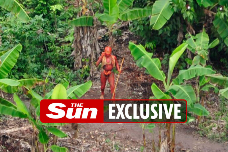 Uncontacted Amazon tribes on brink of being WIPED OUT by Brazil’s mutant Covid as bug unleashed by…