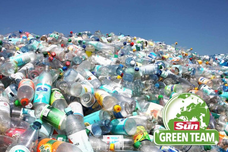Half a million tons of ‘recycling’ dumped or incinerated every year, shock stats show