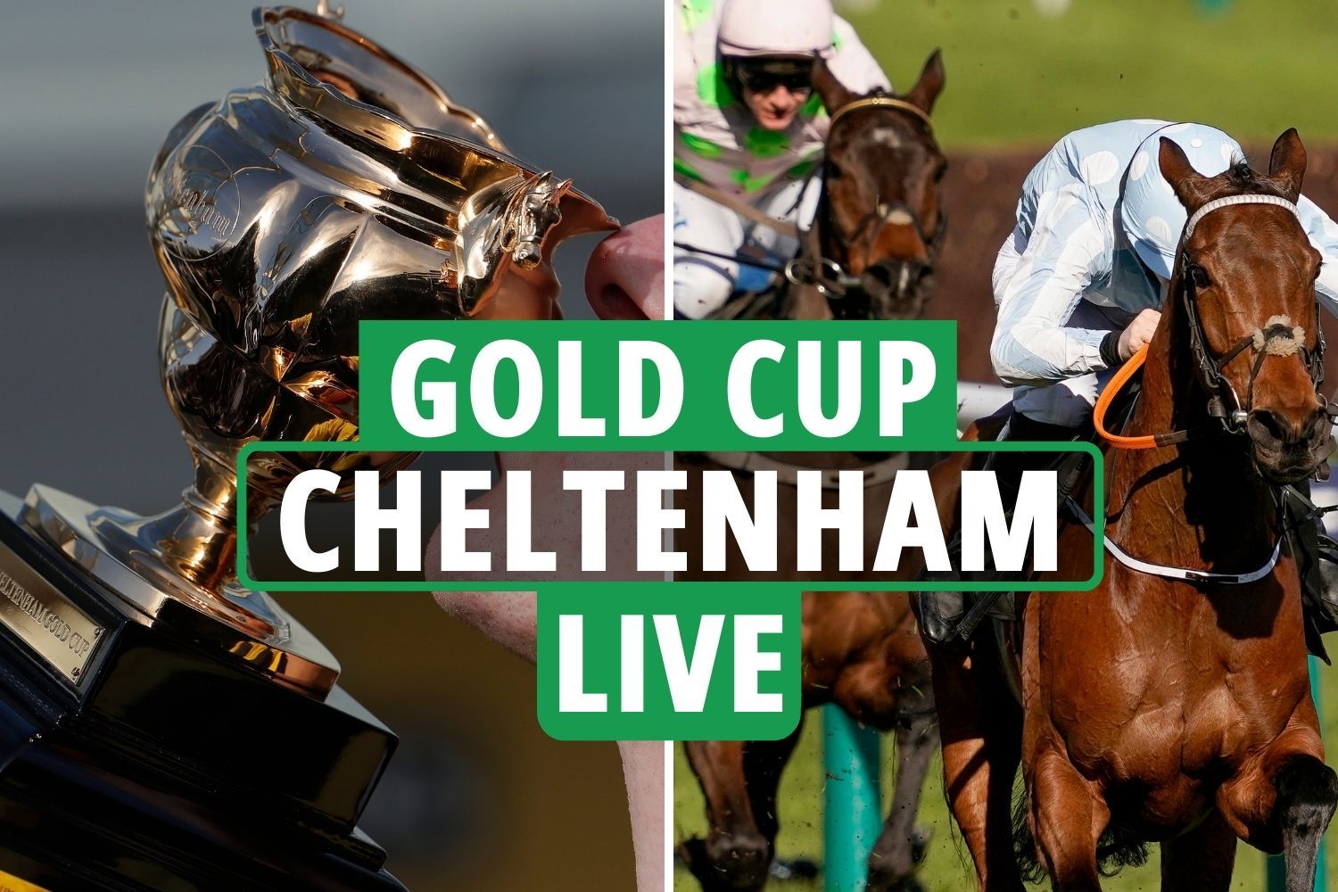 Cheltenham Festival Gold Cup LIVE RESULTS Tips, runners, race cards