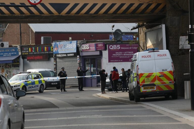Teen stabbed to death and two others knifed in broad daylight attack near White Hart Lane tube…
