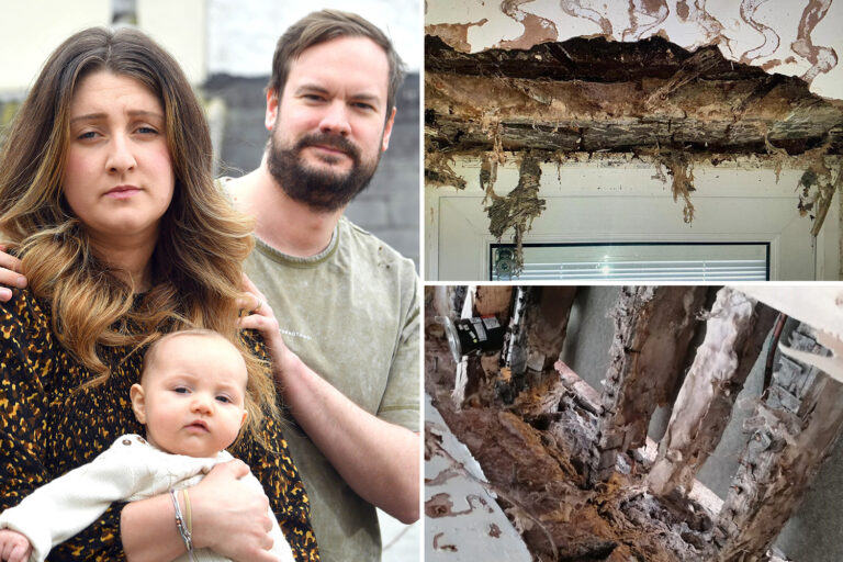 Couple with newborn baby left homeless after dream house ROTS and ceiling on brink of collapse