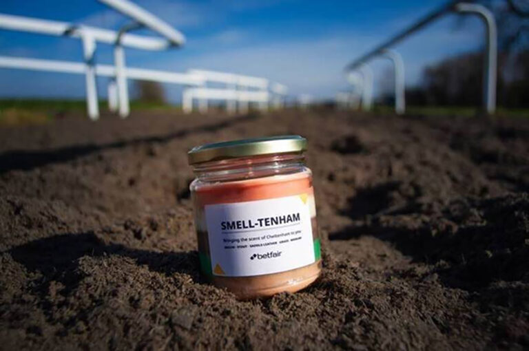 Horse manure-scented candle will help remind racing fans of what they’re missing at the Cheltenham…