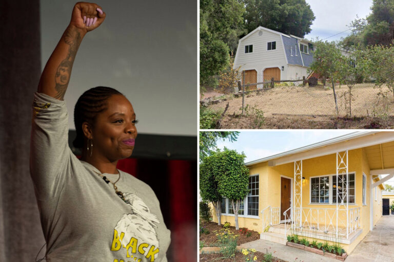 BLM leader calls for probe into co-founder Patrisse Cullors after she blew $3MILLION on luxury homes