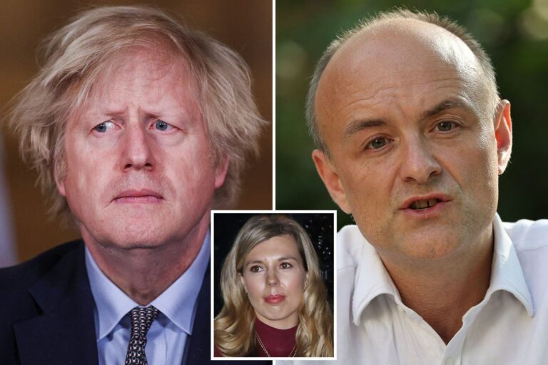 Dominic Cummings branded an ‘obsessed bully’ over row with PM’s fiancée Carrie Symonds