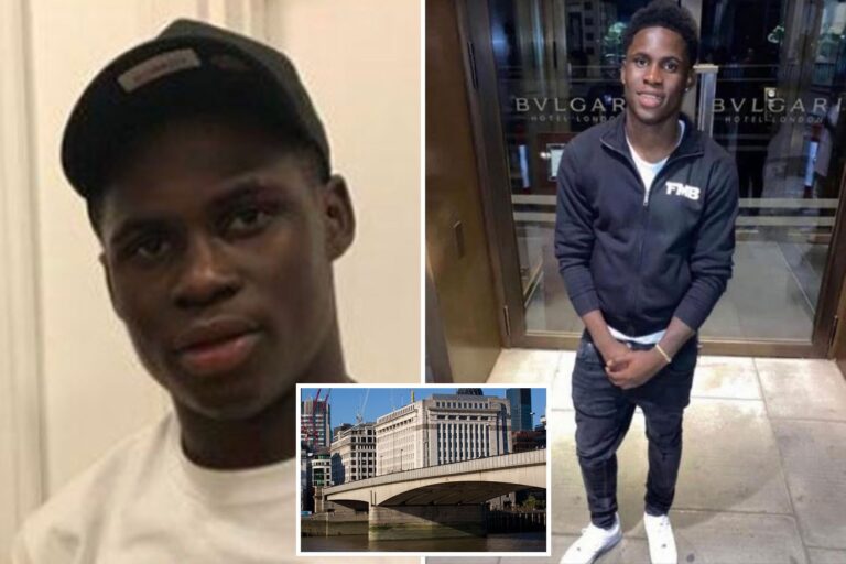 First pic of hero, 20, who died saving woman who fell from London Bridge as friends mourn…