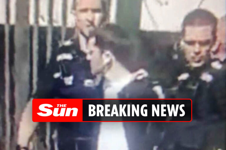 Moment Crawley College ‘gunman’ is arrested after ‘shooting at tutor’as he’s revealed as ‘angry’…