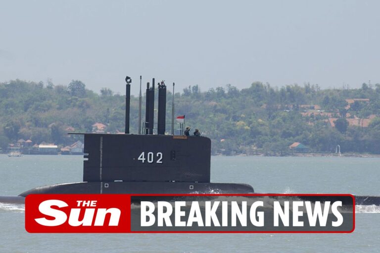 Military submarine with 53 crew onboard goes missing during torpedo drill training off Bali