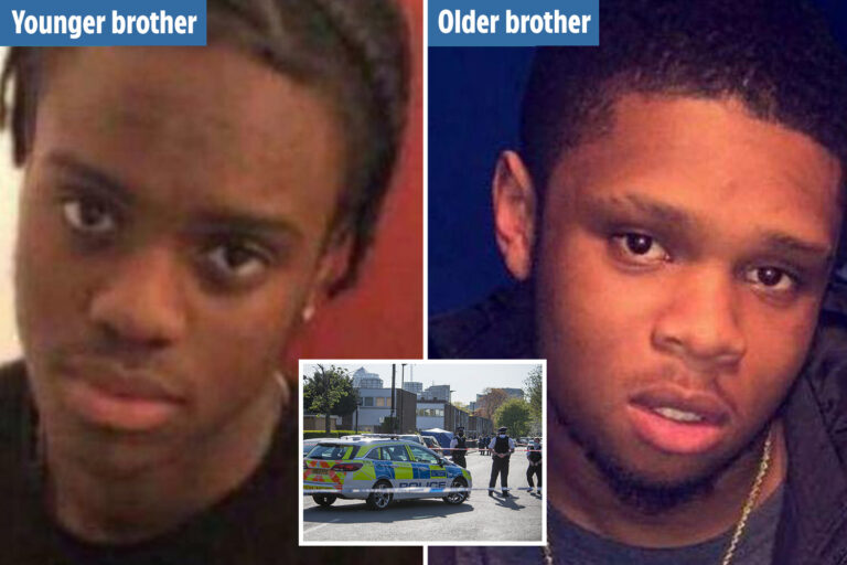 Fears London’s brutal gang war of 2017 could be repeated this summer as knife victim’s brother slain…