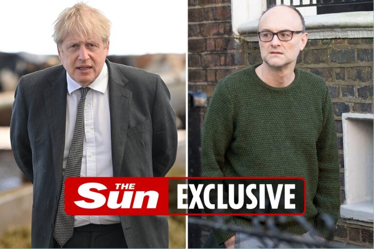 No10 fear axed aide Cummings will publish texts exposing chaos at the heart of Government’s Covid…