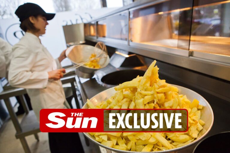 Thousands of chippies and kebab shops could shut if online junk food ads are banned, ministers…
