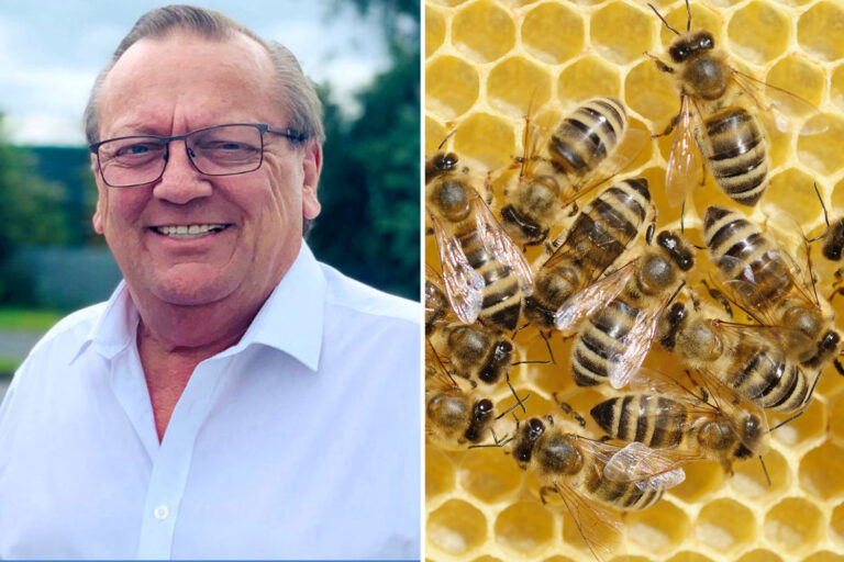 ‘Uneducated’ grandad, 63, who started bee business from council house kitchen table sells it for…