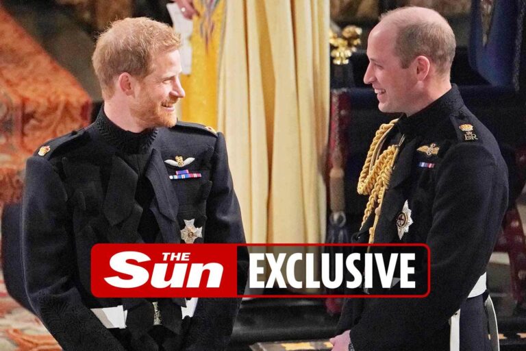 Prince Harry ruins any chance of making up with William after leaking private chats to Meghan Markle