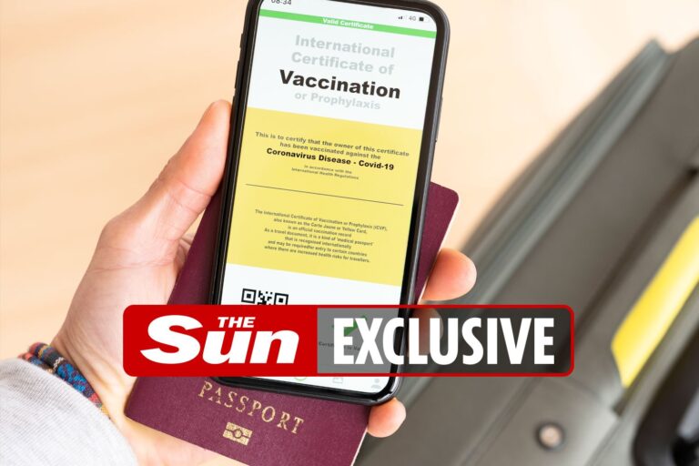 Covid vaccine passport app won’t be ready for end of lockdown, ministers warn