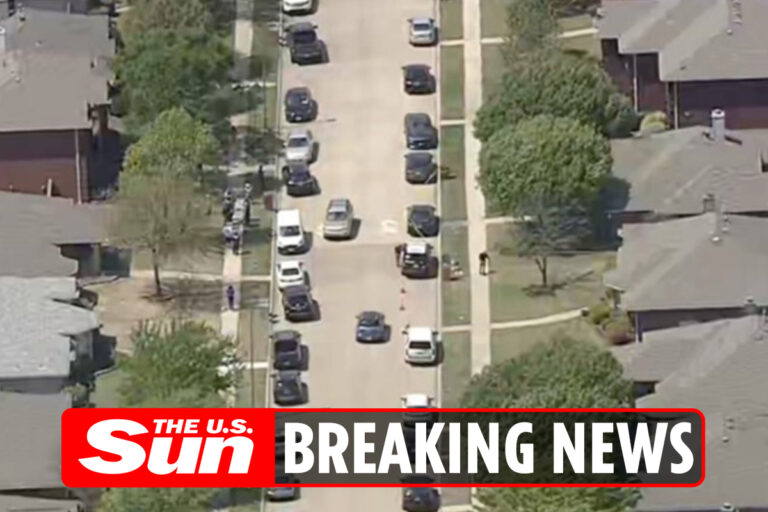 Allen, Texas, ‘murder-suicide leaves six family members dead as cops say brothers might have planned…