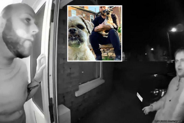 Terrifying moment dog owner forced to fight off three thieves who ‘barged into his home to steal his…