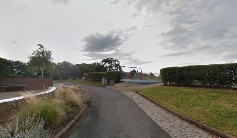 Boy, 3, bitten by dog in children’s playground and left with ‘flesh hanging off his arm’