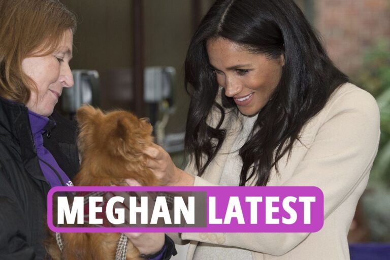 Meghan Markle latest news – Duchess ‘appalled and offended’ at being asked to front ‘Princesses and…