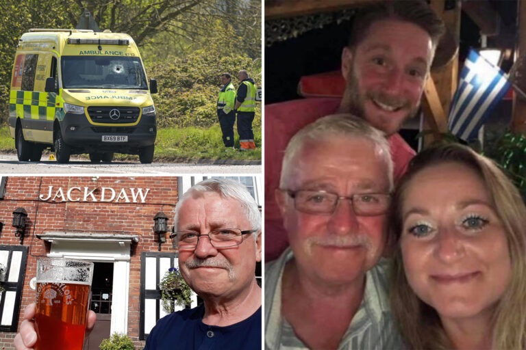 Hero paramedic killed when stone hit windscreen on 999 call was just days from retiring after…