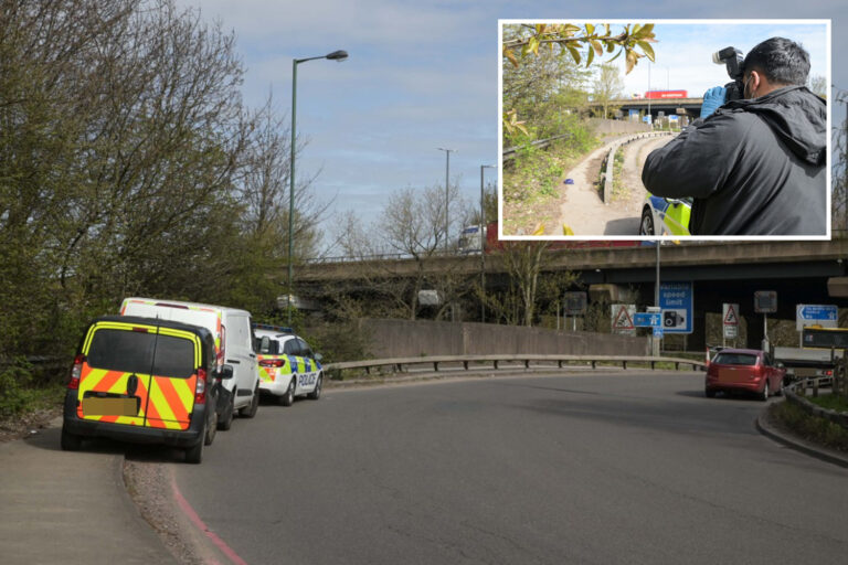 Human remains found in woods near M6 sparking police probe