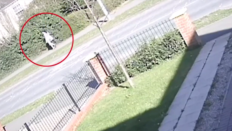Cops release CCTV in search for missing mum of baby found in £1 Matalan T-shirt in Birmingham park