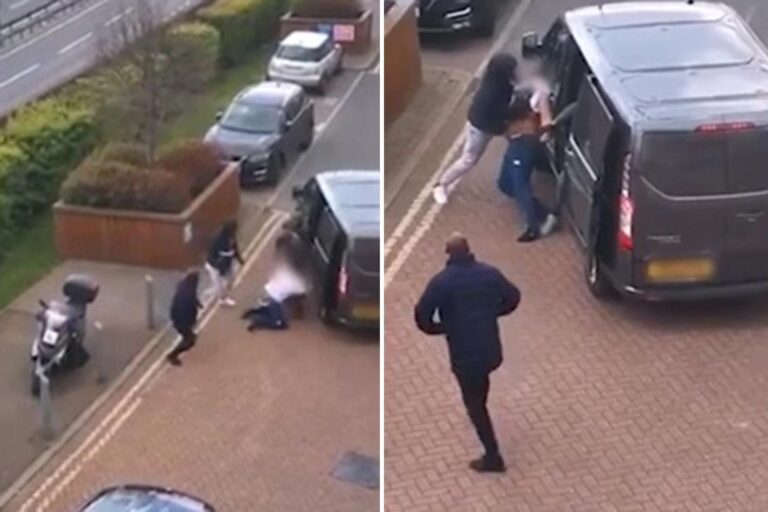 Terrifying moment ‘kidnappers’ attack man and bundle him into back of van in broad daylight