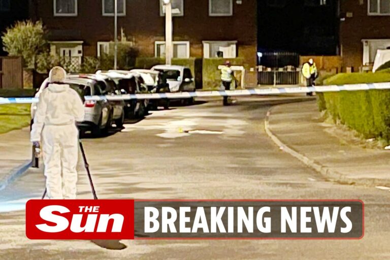 Teen, 18, has hand chopped off in machete attack on Leeds street