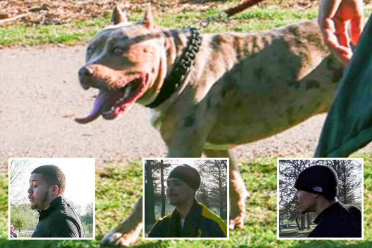 Mum and two young kids bitten by vicious ‘out-of-control’ dog during Easter Egg hunt at park