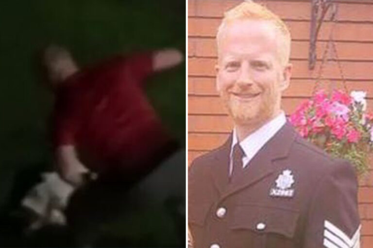 Shocking moment police officer PUNCHES puppy and yells ‘you little b*****d’ after it pooed on his…