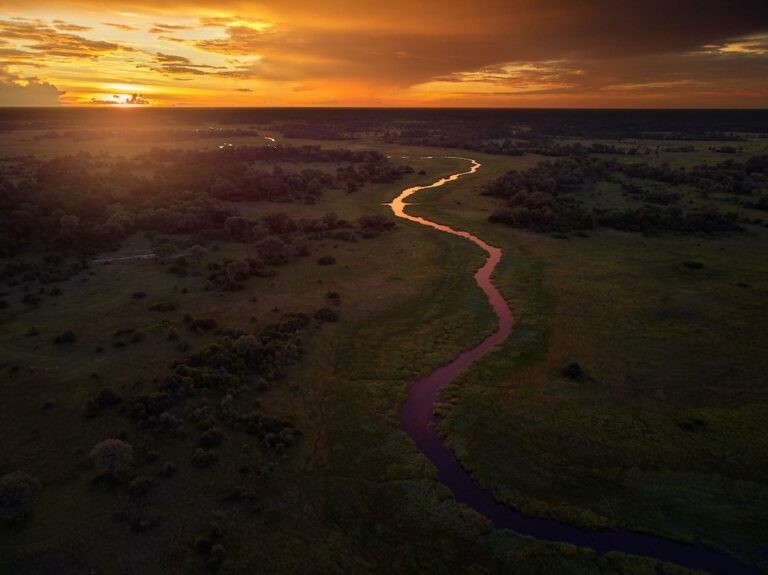 Beautiful Botswana: Exploring the Okavango Delta