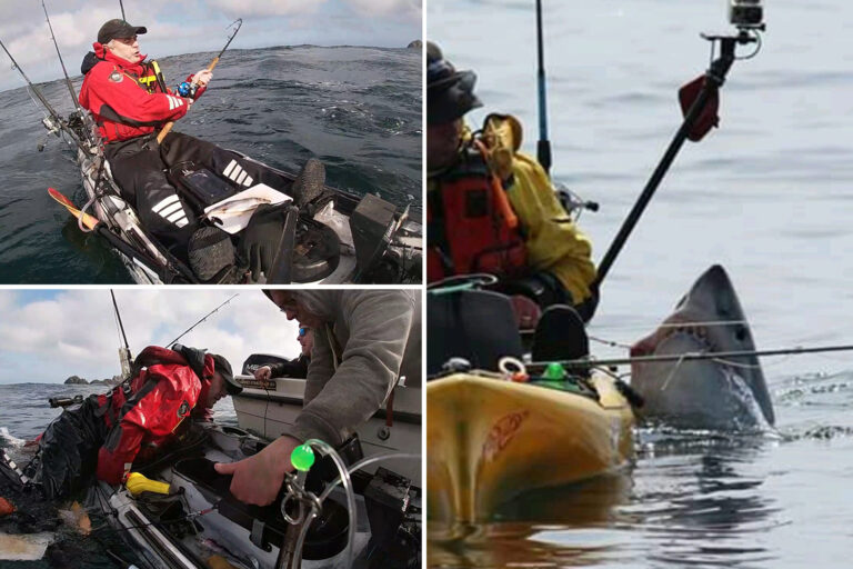 Dramatic moment shark capsizes fisherman’s kayak and drags him under water off Irish coast