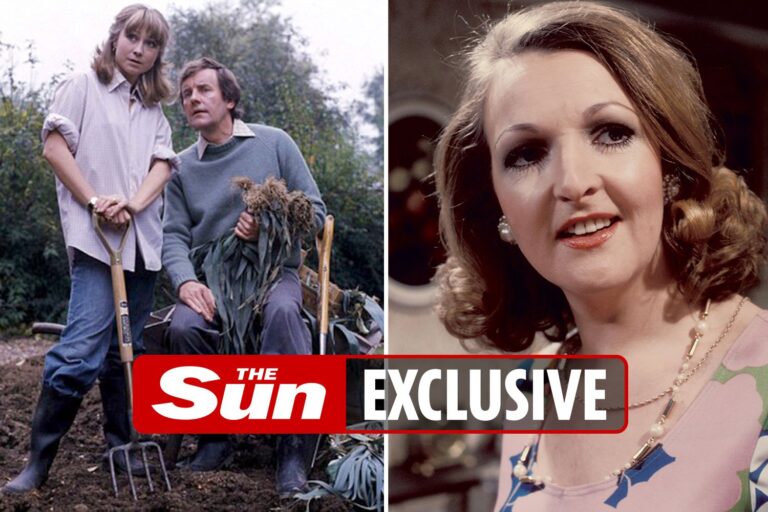 The Good Life given viewer warning for featuring a ‘racist’ Robertson’s jam Golly badge