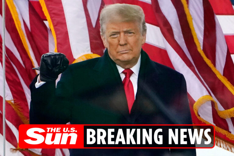 Trump launches NEW social media platform that ‘will allow him to talk directly to followers’
