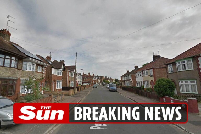 Boy, 9, stabbed by stranger in street in ‘random attack’ as police launch manhunt