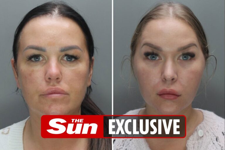 Sisters jailed for flying Polish people into UK to make £300k bogus benefit claims