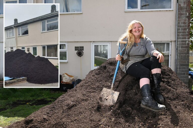 Gran orders soil for her roses and ends up with 12 TONNES of compost dumped outside house