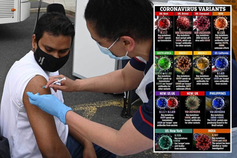 June 21 lockdown lift ‘back on’ after ‘astounding’ tests prove vaccine DOES work against Indian…