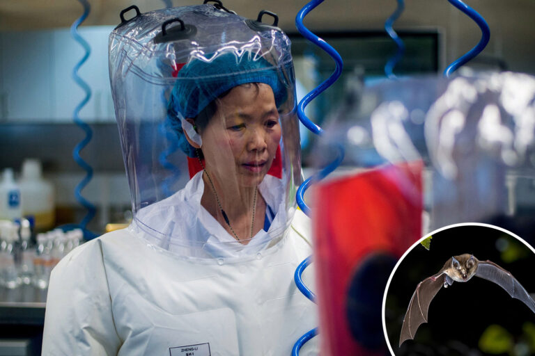 Brit spies ‘helping US uncover truth’ about Wuhan lab leak as it emerges China worked on bat virus…