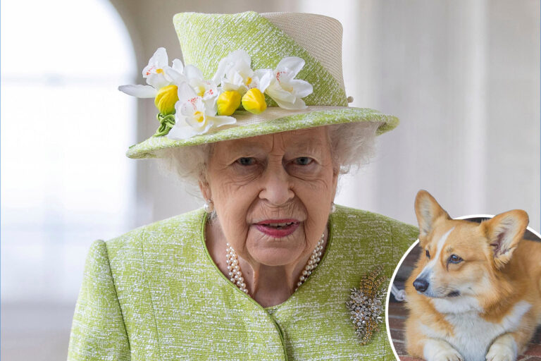 The Queen ‘devastated’ as she suffers fresh heartache with death of dorgi puppy