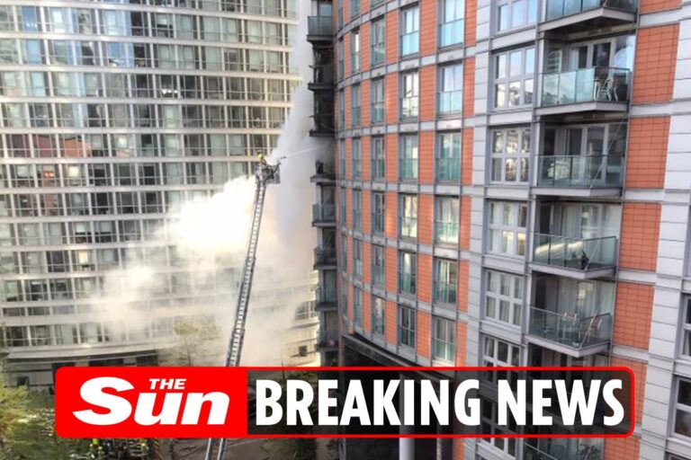 Poplar fire: More than 100 firefighters called to blaze at London tower block
