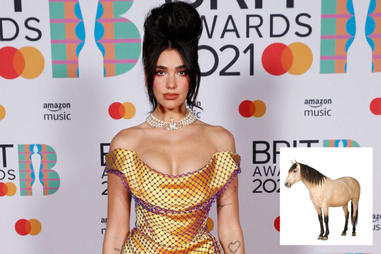 Dua Lipa mounts horse in skimpy outfit for new music video after Brits success