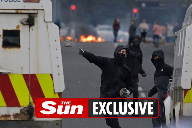 Britain and EU have six weeks to fix Northern Ireland border chaos or risk the province plunging…