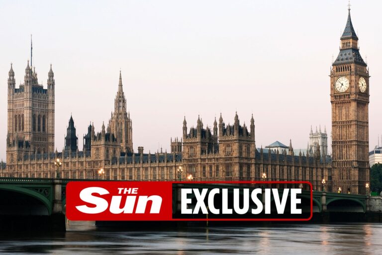 ‘Rising star’ Tory MP set to be charged with sexual assault over historic groping claim