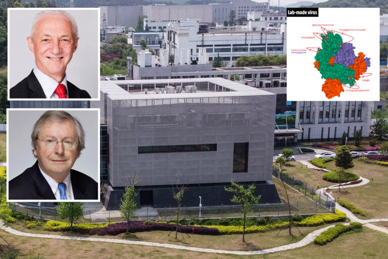 Chinese scientists ‘DID create Covid & reverse-engineered disease to cover tracks with bat theory’…