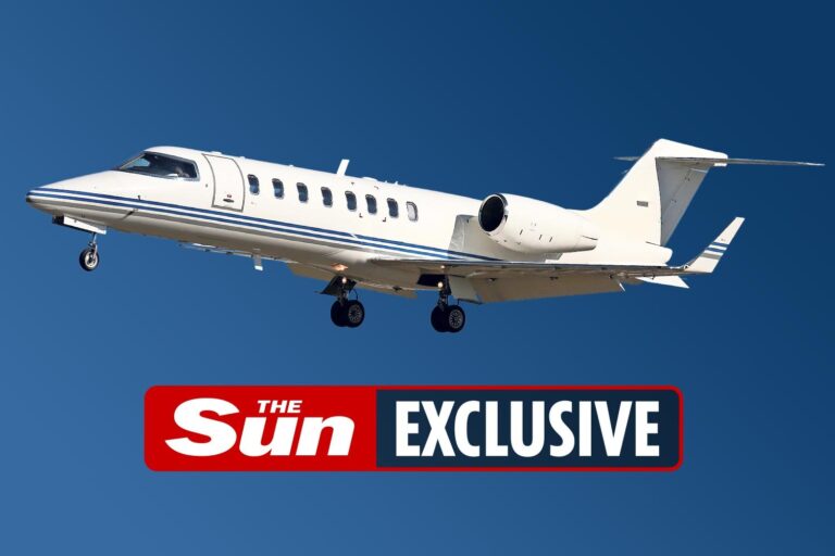 Millionaire’s having sex, affair with a billionaire and more secrets from flight attendant who’s…