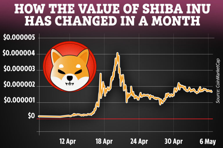 What is Shiba Inu coin? Investors warned about new cryptocurrencies