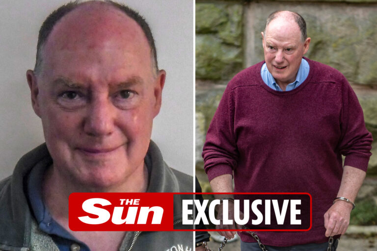 Former top cop jailed for possessing more than 20,000 child abuse images