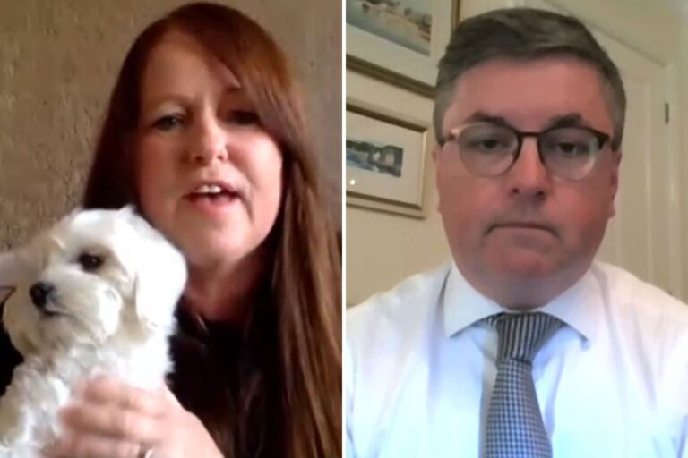 Holly Willoughby dubs Justice Sec the nation’s ‘Chief Pet Detective’ as he vows to crack down on…