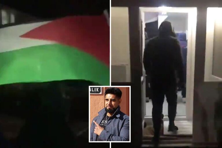 Thugs waving Palestine flag smash up house of Muslim YouTuber they accuse of ‘disrespecting our…
